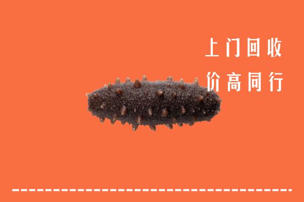 高价求购：随州回收海参